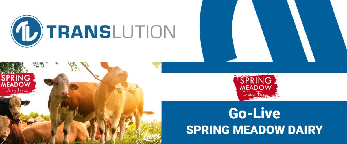 Spring Meadow Dairy selects TransLution as their production scanning system