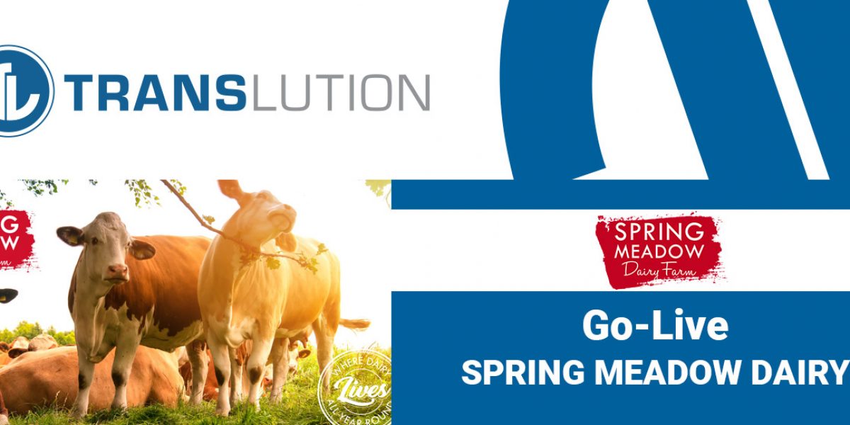 Spring Meadow Dairy selects TransLution as their production scanning system