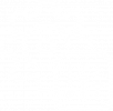 icon-customize-w